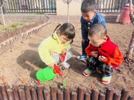 东营市东营区蓝天幼儿园开展“植树节”主题教育活动
