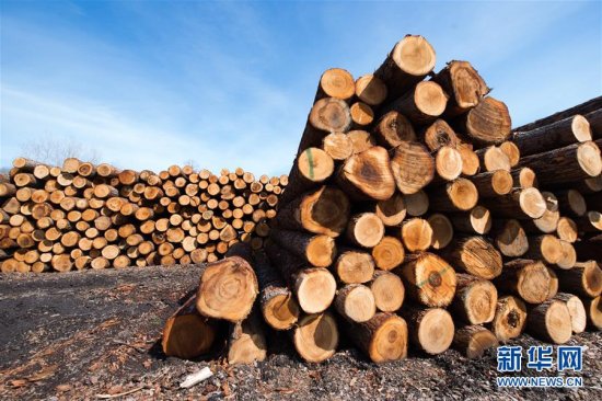 加拿大<em>木材公司</em>将增加对非美国市场<em>木材</em>出口