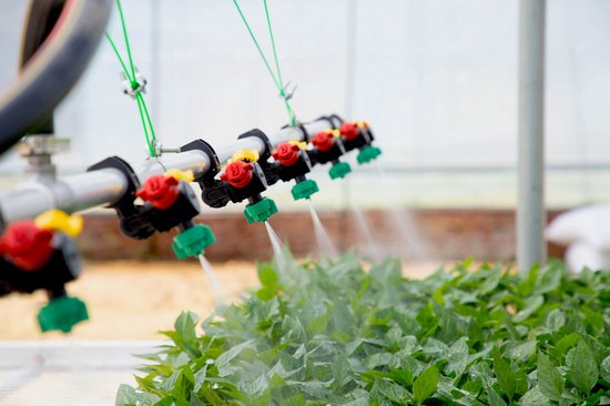 种菜“科技范”！铜仁万山种苗繁育实现“自动化”