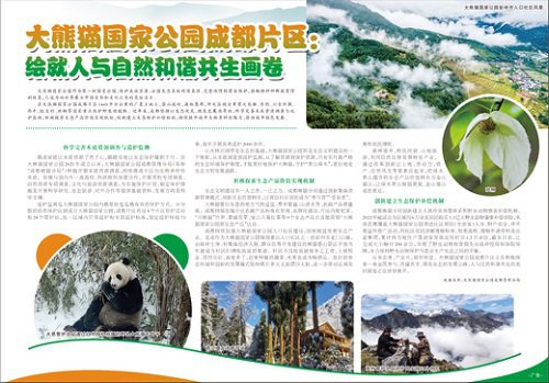 大熊猫国家公园成都片区：绘就人与自然和谐共生画卷