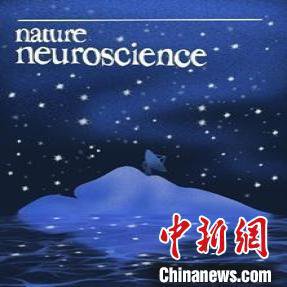 脑科学重大突破 中国团队实现斑马鱼全脑十万级神经元实时闭环...