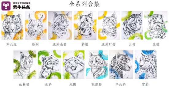 善绘者不择笔！女孩用气钉枪画出13种中国“大猫”，真是绝了！