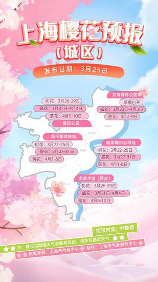 清明时节雨纷纷，上海今起7天均有雨，全城樱花有何“气候密码”