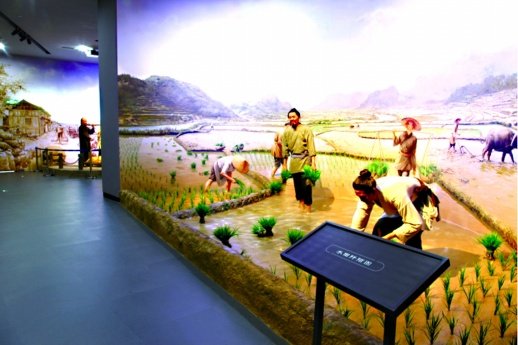 隆平水稻博物馆免费向公众开放 展览时间为每周三至周日9:00至16...